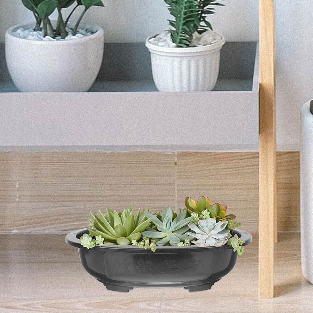 3 Buah Pot Tanaman Bonsai Oval - Bonsai Garden Nursery ulasan dan harga