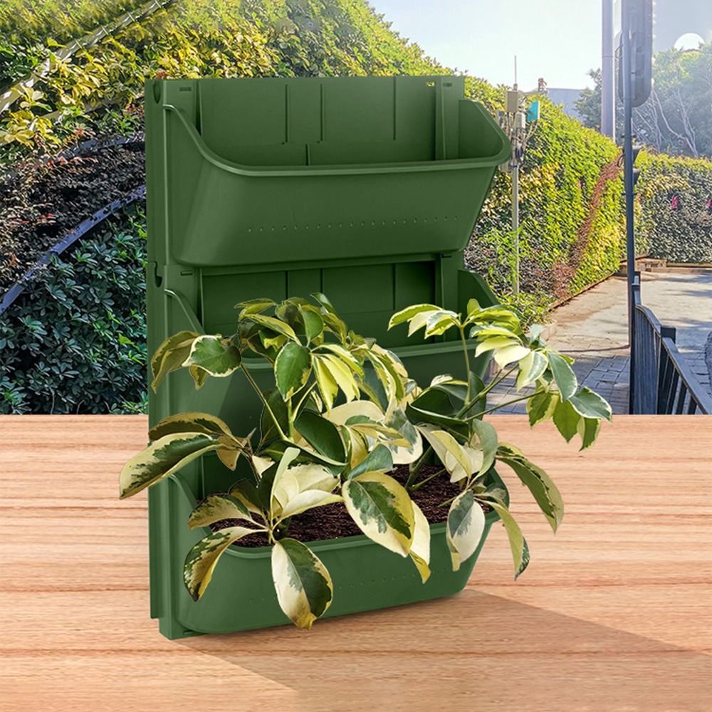 Pot Bunga Gantung Dinding Plas - Bonsai Garden Nursery ulasan dan harga