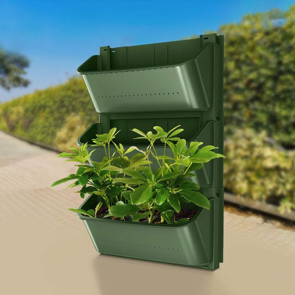 Pot Bunga Gantung Dinding Plas - Bonsai Garden Nursery ulasan dan harga