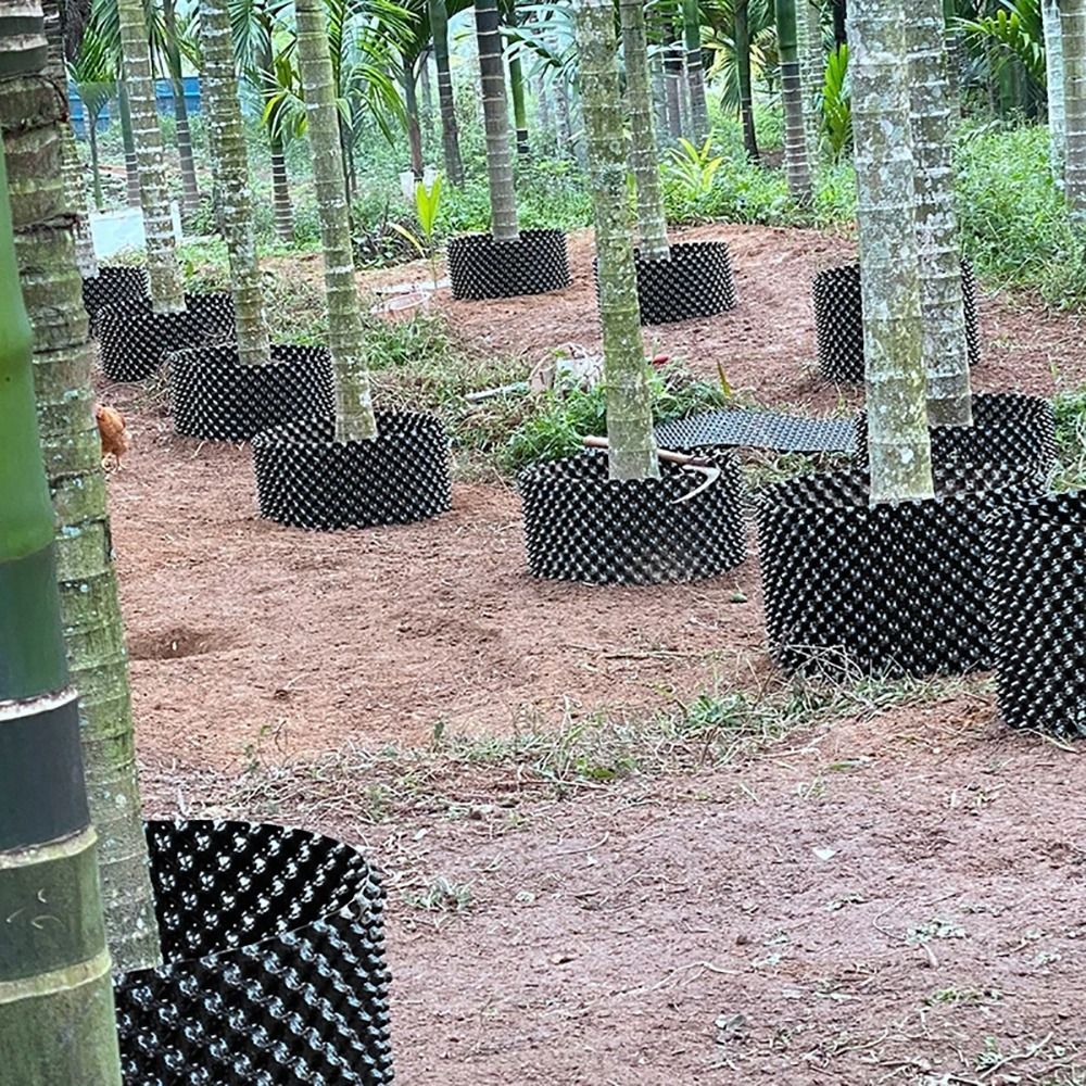 1Set Pot Tanaman Tahan Lama, C - Bonsai Garden Nursery ulasan dan harga