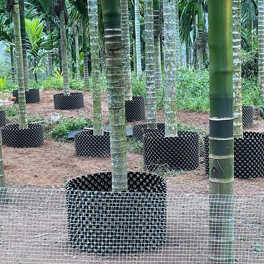 1Set Pot Tanaman Tahan Lama, C - Bonsai Garden Nursery ulasan dan harga