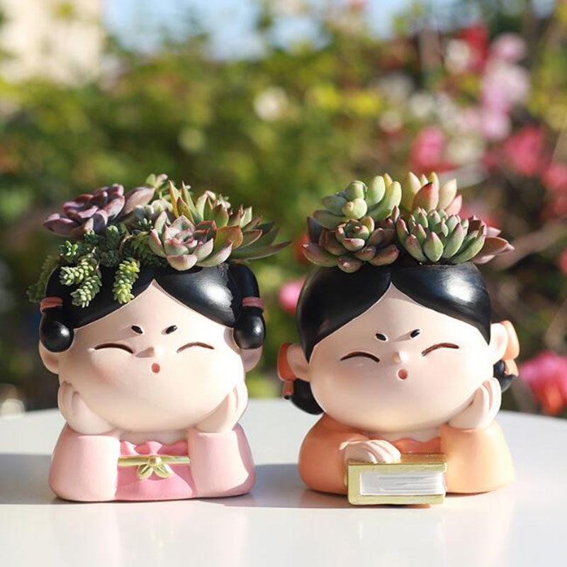 Pot Pembibitan Wanita Dinasti  - Bonsai Garden Nursery ulasan dan harga