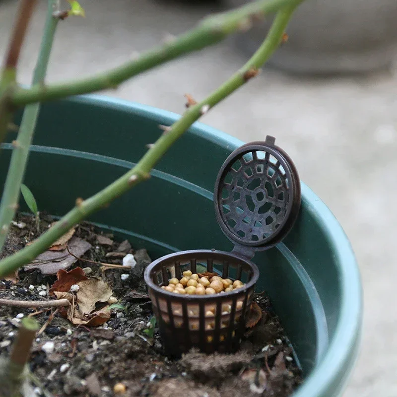 Alat pupuk Bonsai taman plasti - Bonsai Garden Nursery ulasan dan harga