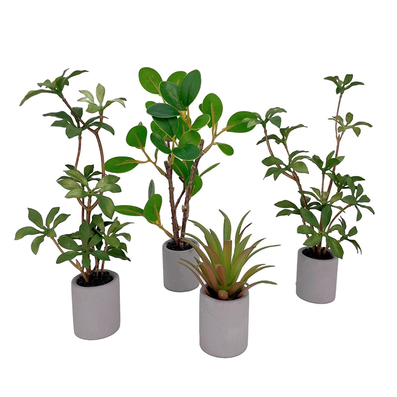 1:6 miniatur rumah boneka Pot  - Bonsai Garden Home ulasan dan harga