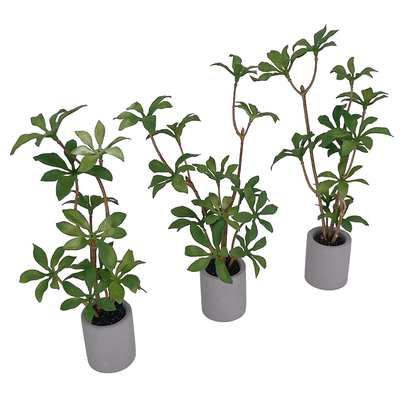 1:6 miniatur rumah boneka Pot  - Bonsai Garden Home ulasan dan harga