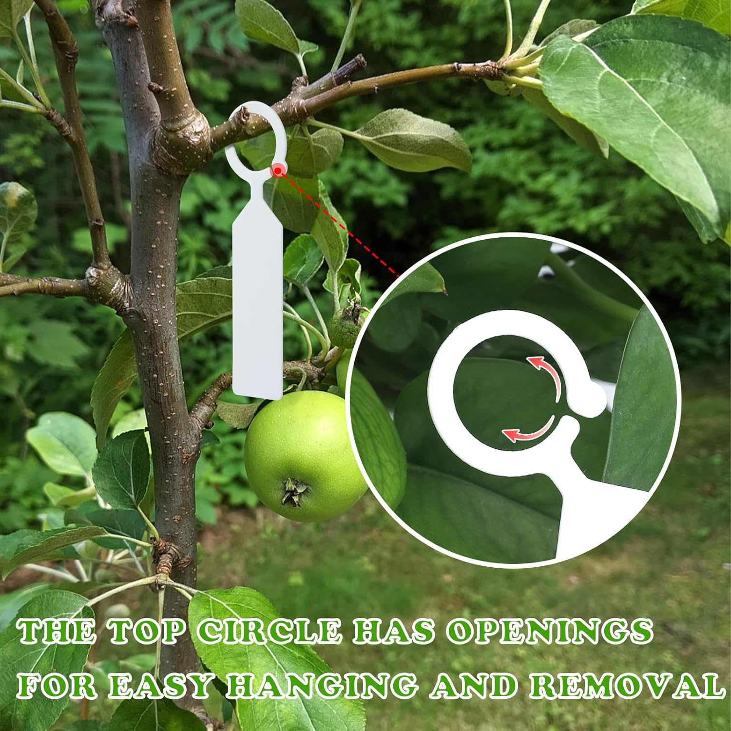 100 PCS Label Tanaman Gantung  - Bonsai Garden Nursery ulasan dan harga