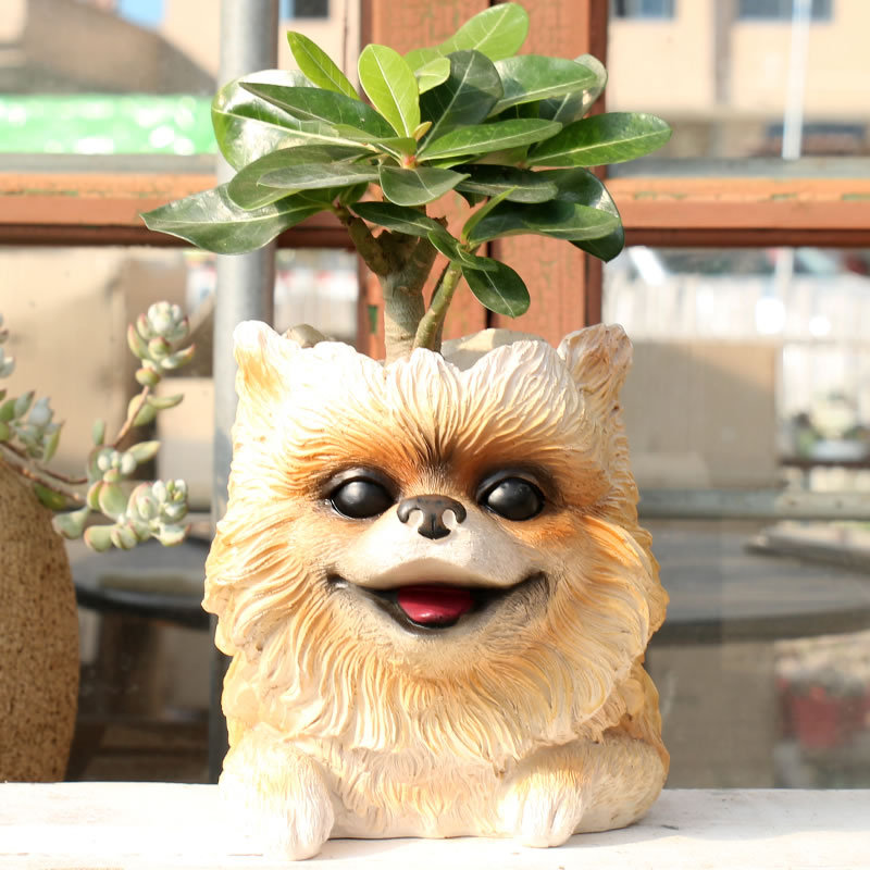 Pot Tanaman Figur Kartun Vas K - Bonsai Garden Nursery ulasan dan harga