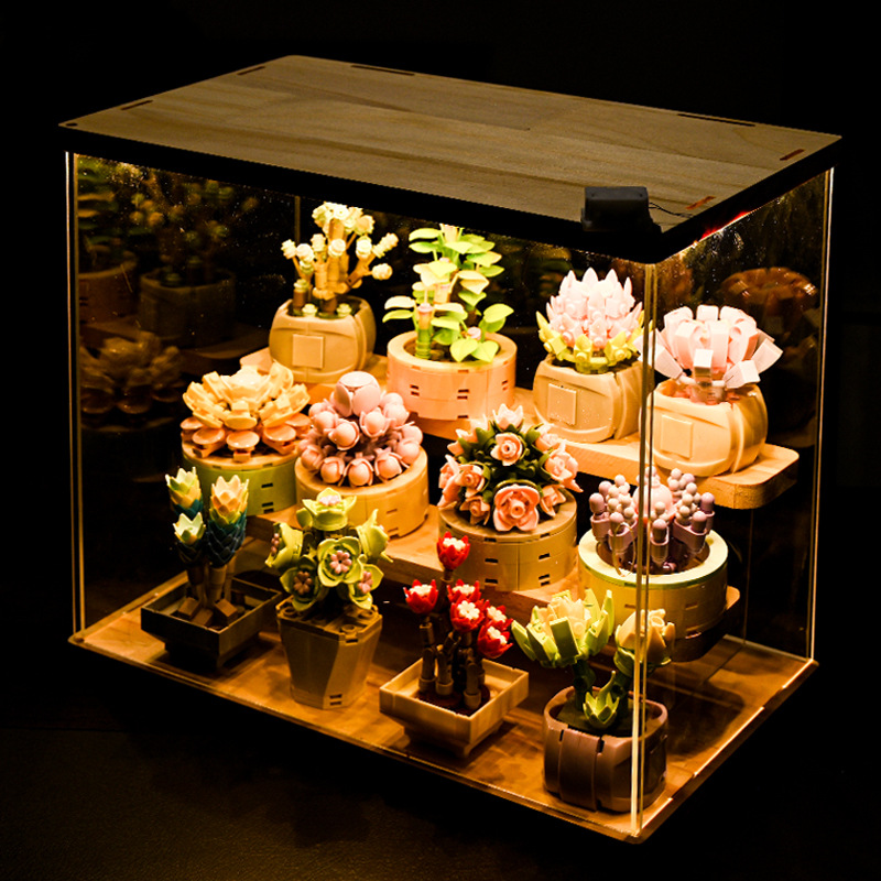 DIY MOC Tanaman Pot Sukulen Ka - Bonsai Garden Experts ulasan dan harga