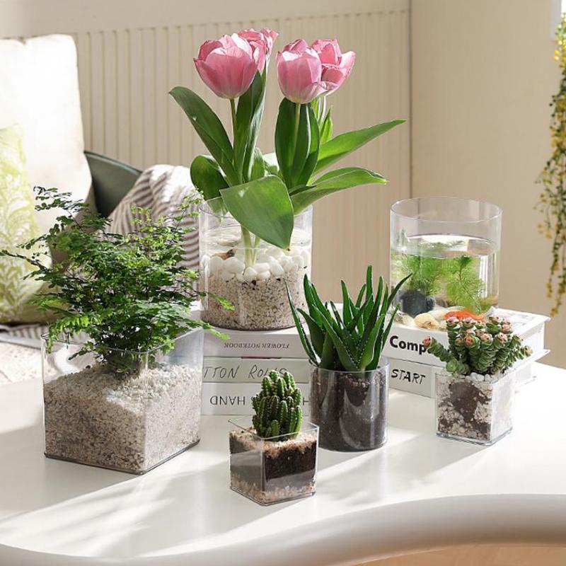 Pot Tanaman Akrilik Transparan - Bonsai Garden Nursery ulasan dan harga
