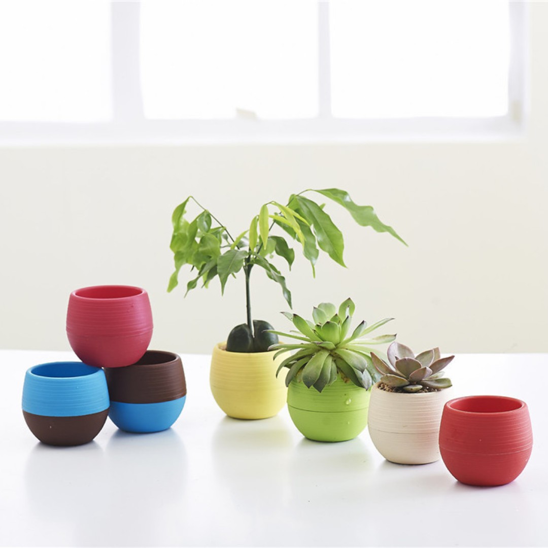 Pot Bunga Plastik Mini Berkebu - Bonsai Garden Nursery ulasan dan harga