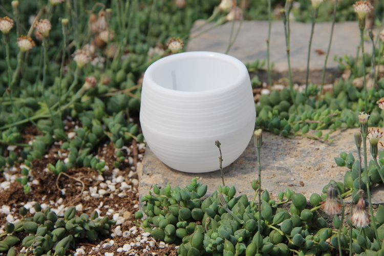 Pot Bunga Plastik Mini Berkebu - Bonsai Garden Nursery ulasan dan harga