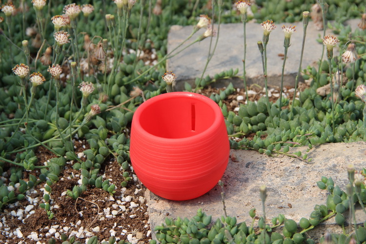 Pot Bunga Plastik Mini Berkebu - Bonsai Garden Nursery ulasan dan harga